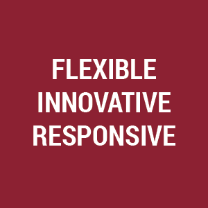 Flexible Innovative Responsive